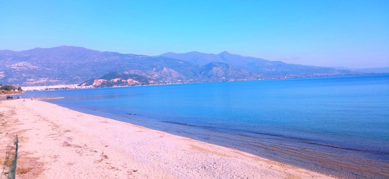 Artemis Suites Volos Exteriör bild